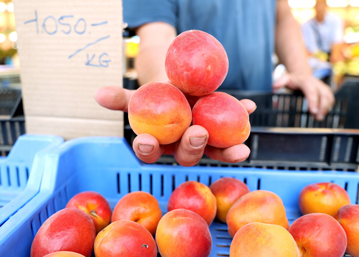 Nektarin méretű kajszibarackok
