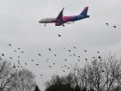 A Wizz Air pilótái gyakorló repüléseket végeztek a debreceni repülőtérnél