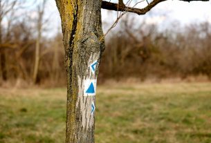 Pusztaszeri Tájvédelmi Körzet, természet, túra, kirándulás, kéktúra