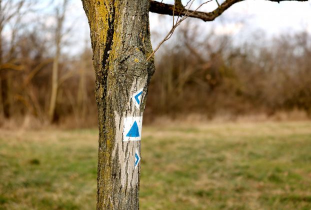 Pusztaszeri Tájvédelmi Körzet, természet, túra, kirándulás, kéktúra