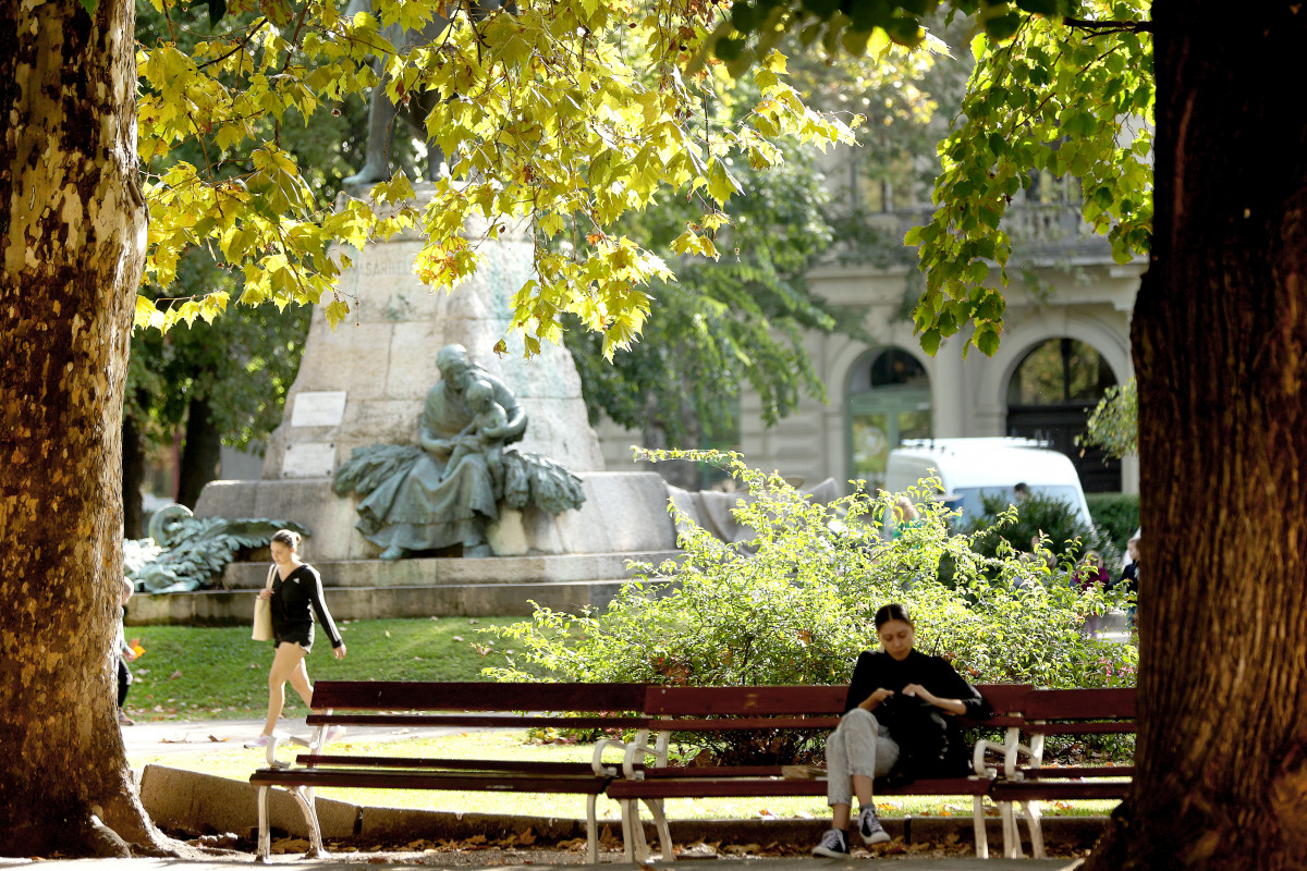 Szeged, Széchenyi tér, ősz, Időjárás, park, természet, napsütés