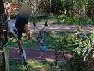 Felrúgtak egy kisgyereket a szolnoki kalandparkban
