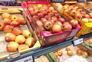 Szeged, drága az alma, alma, drága, infláció, gyümölcs, import, Lidl