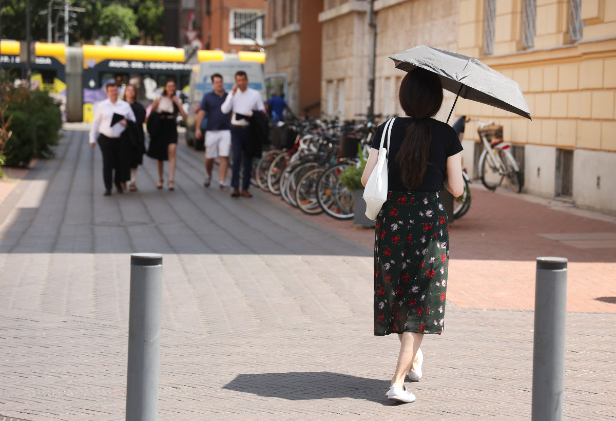 Szeged, 40 fok, nyár, meleg, hőség, kánikula, időjárás